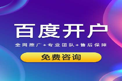 某电商平台的SEM推广实战经验
